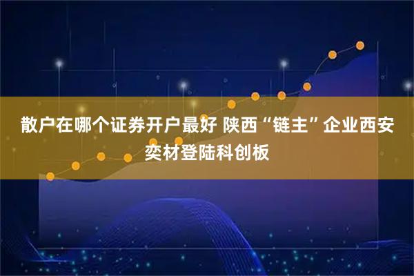 散户在哪个证券开户最好 陕西“链主”企业西安奕材登陆科创板