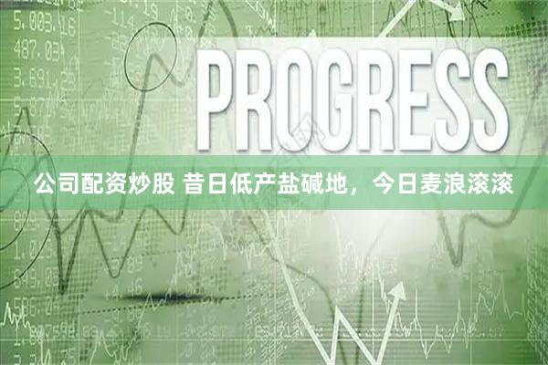 公司配资炒股 昔日低产盐碱地，今日麦浪滚滚